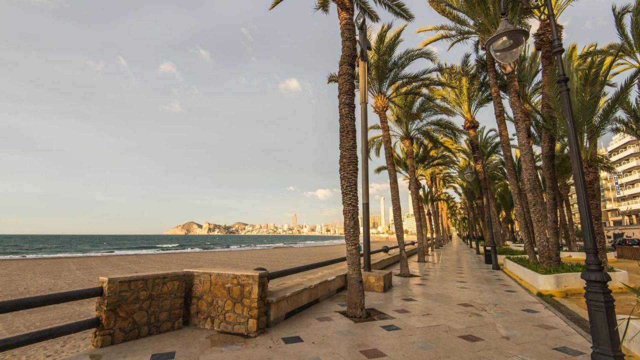 Apartamento Parque Elche If Benidorm Dış mekan fotoğraf